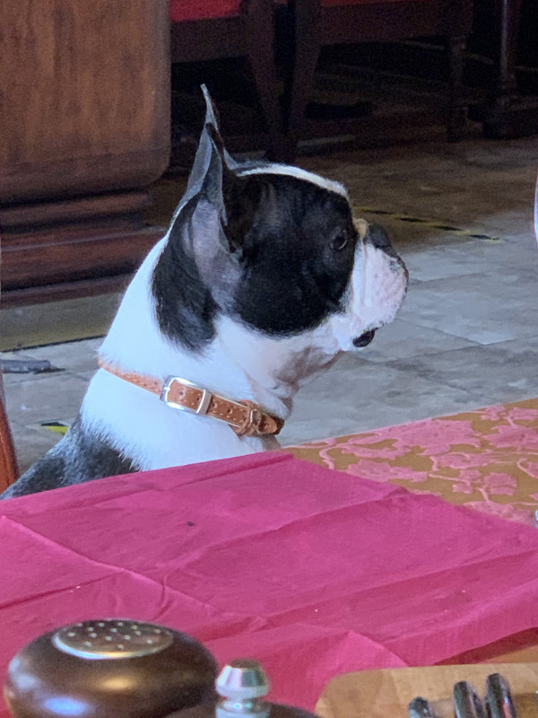 1A815CF7-A128-4939-AB19-47CC9A14F477