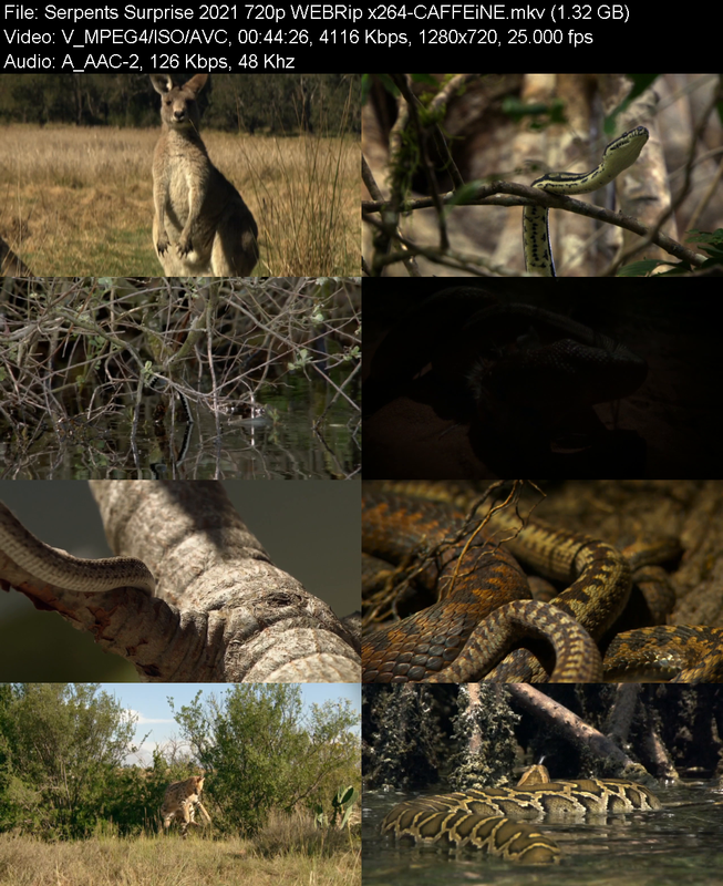 serpents-surprise-2021-720p-webrip-x264-