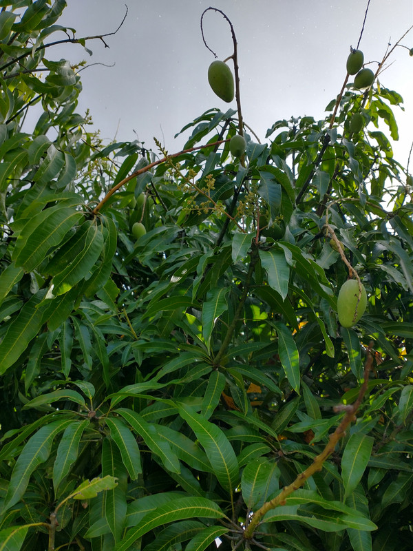 IMG_20230408_091531401_HDR