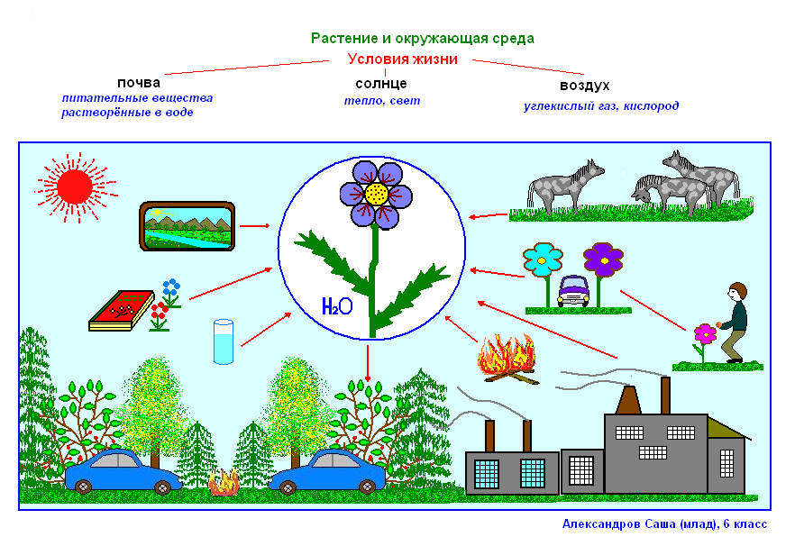 Связи с помощью моделей