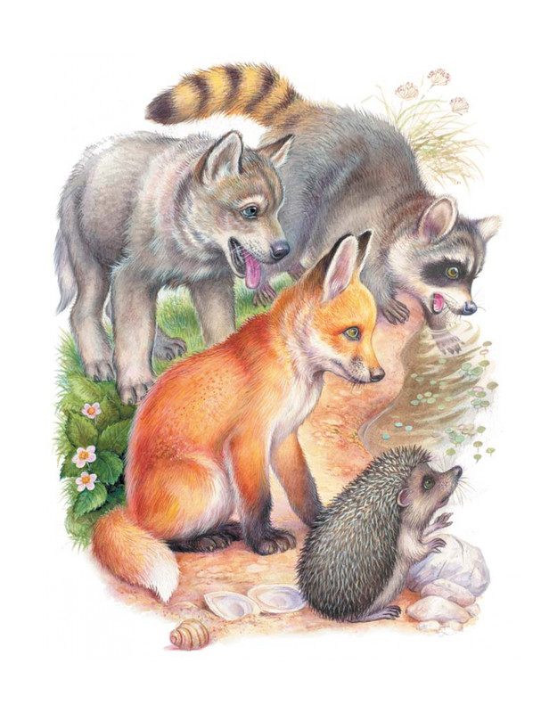 Shim-Eduard-Skazki-o-zhivotnyh-2020-page-0041