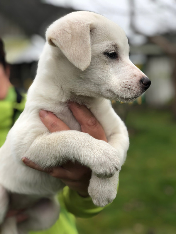 6FE8EDD8-5BAC-48AF-AB2F-893A0FA13EC1