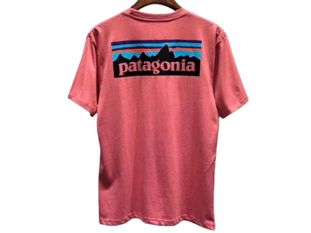 Patagonia Tee