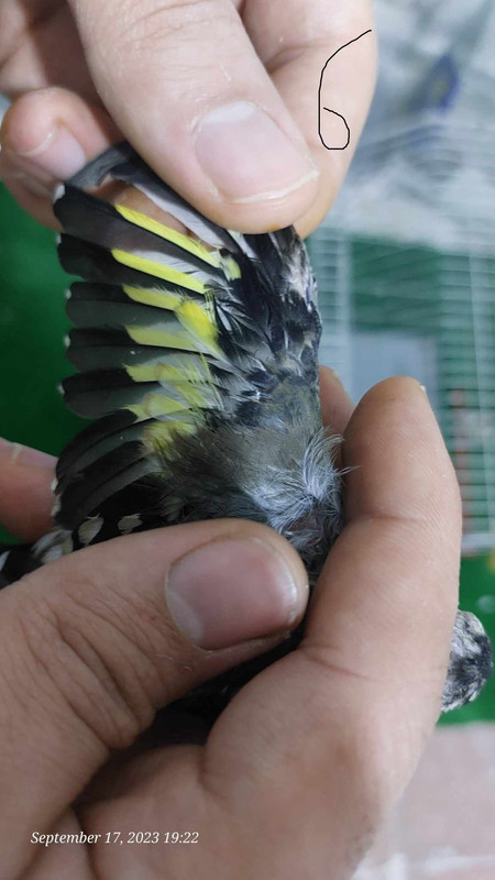 378123905_842283107605126_5386640823142932832_n