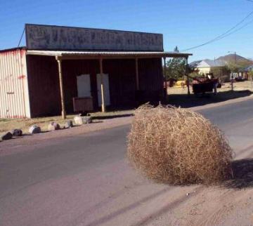 tumbleweed.jpg