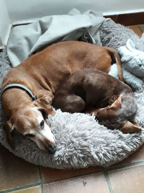 [Image: Resized-20221030-145557.jpg]