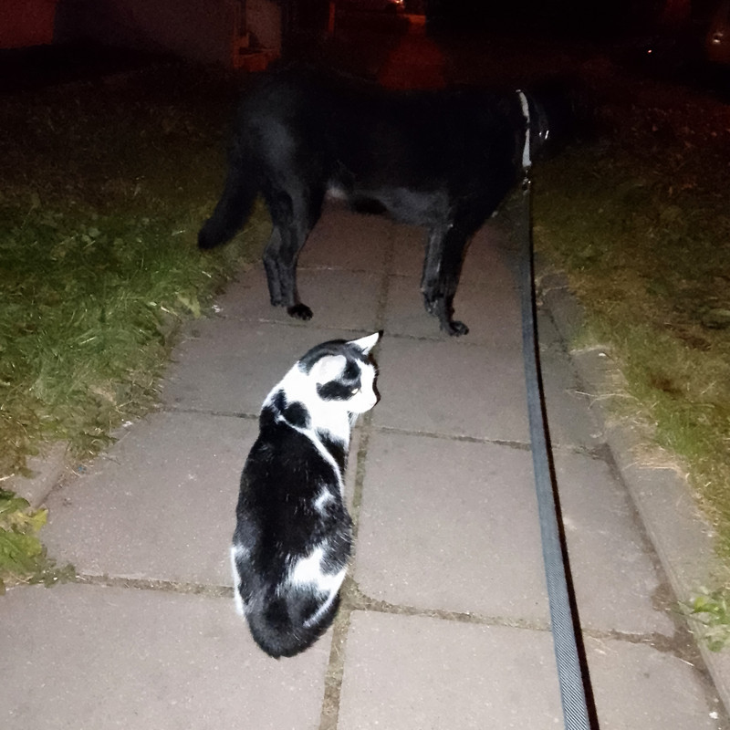 IMG_20241125_221209~2