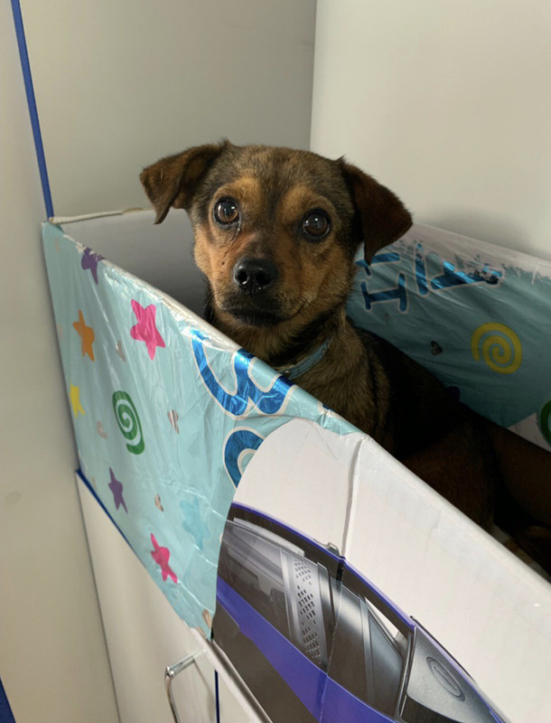 13DAD9CA-78BE-4561-ACE2-8E0304C90796