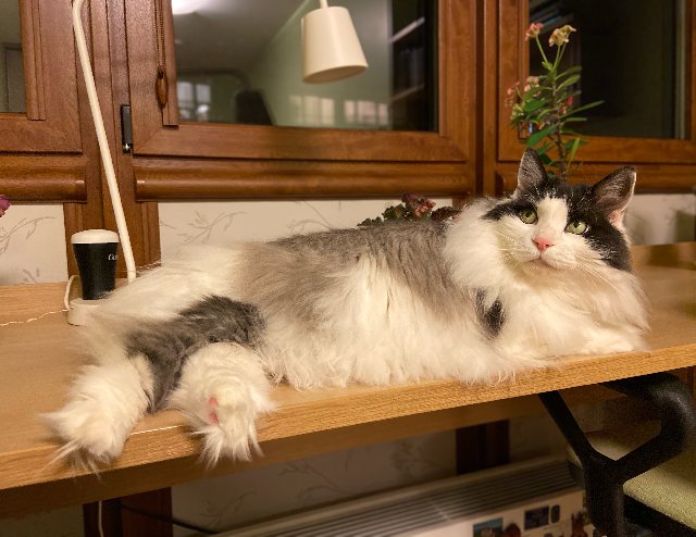 2-E059-FF1-9-F66-44-E0-B0-DB-69888-E9-B7