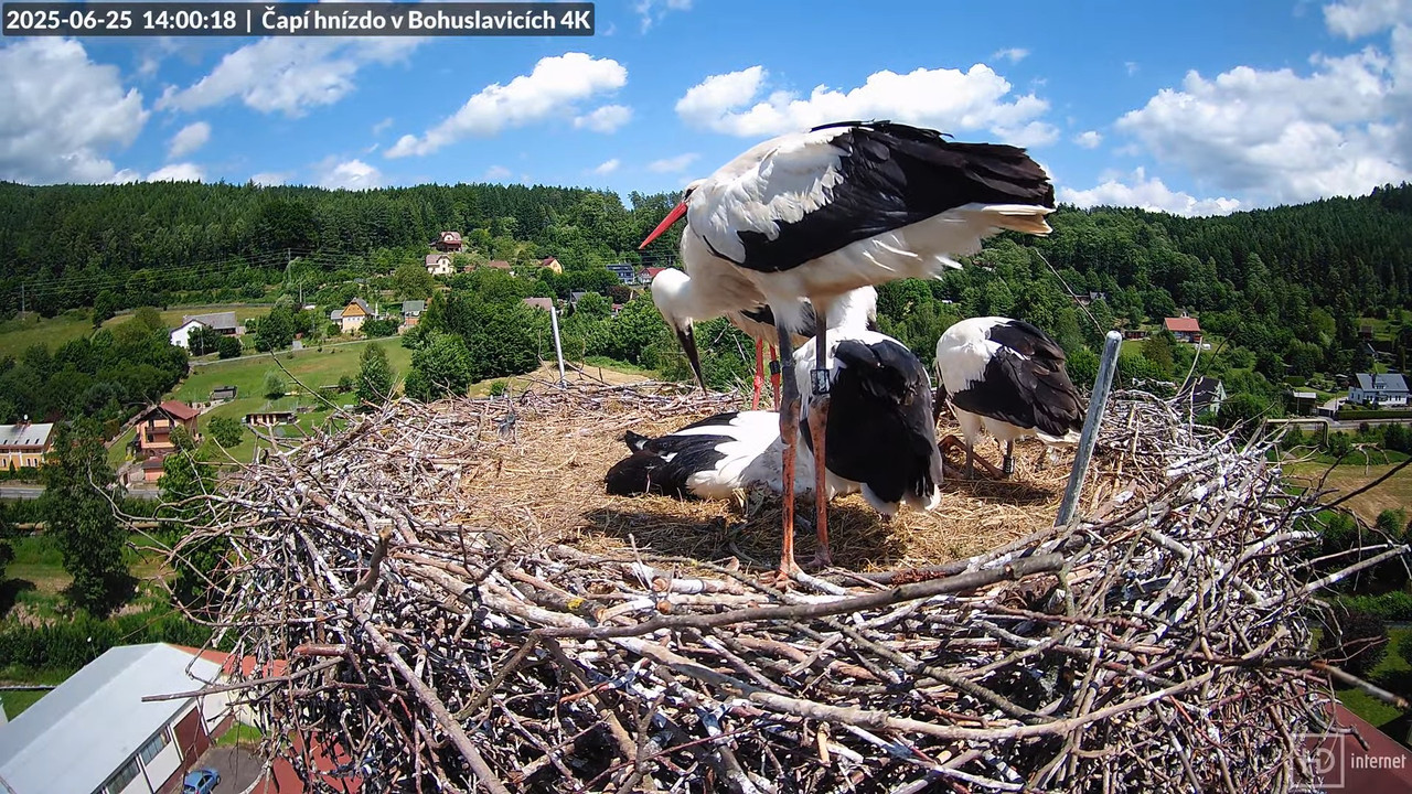 Tiešraide no KARA uzņēmuma stārķu skursteņa Bohuslavicē netālu no Trutnovas 13-54-43 screenshot