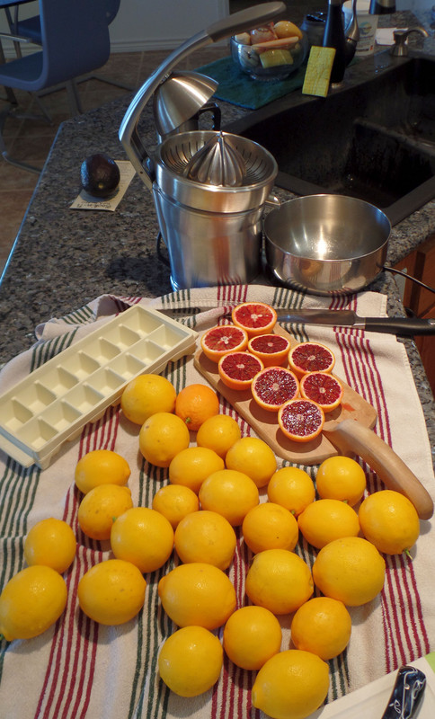 CitrusJuicingFeb2017#3