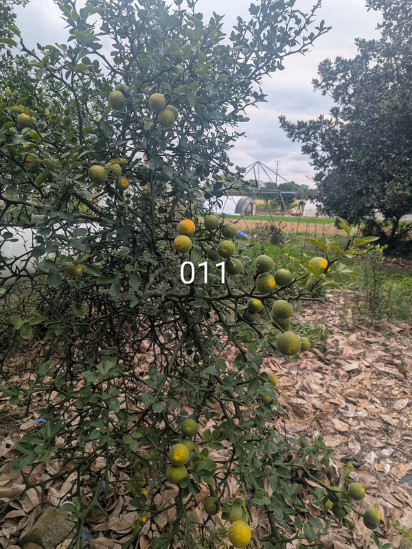 PXL 20260919 185032972 2