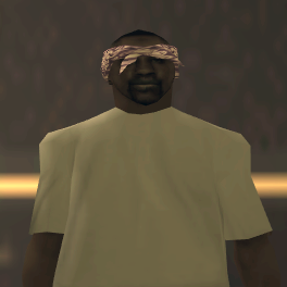 102 (1)