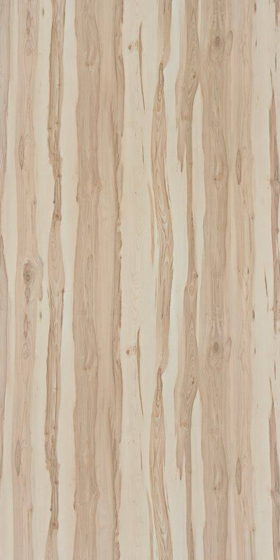 wood-texture-3dsmax (448)