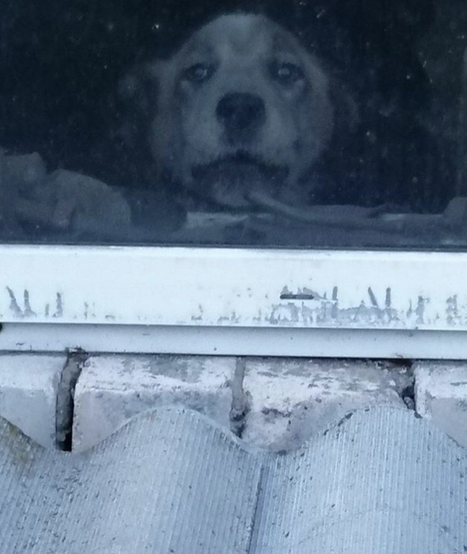 FDBF9CB7-C4E0-426C-AE27-95C2611A7BDE