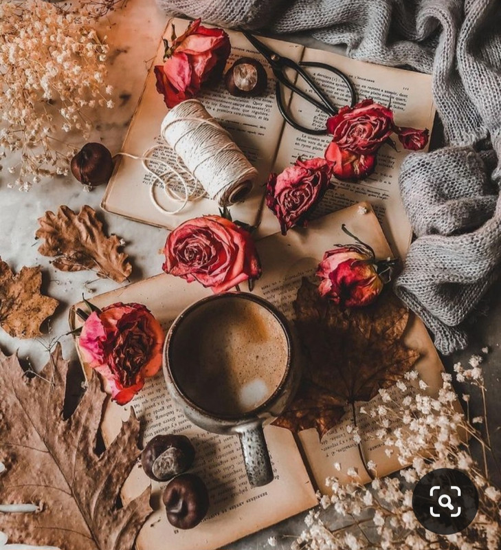 Screenshot_20231015_214201_Pinterest