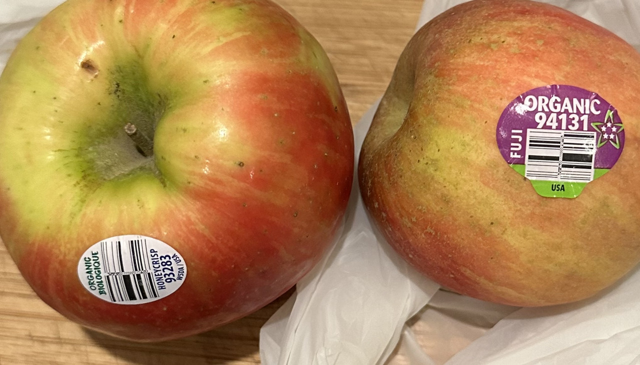 33E3DD73-63C9-42A5-8A82-C6F18D9C4E20