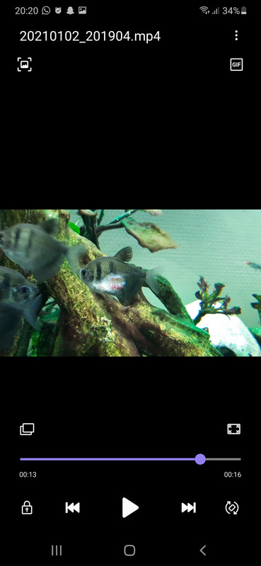 Screenshot_20210102-202002_Video Player