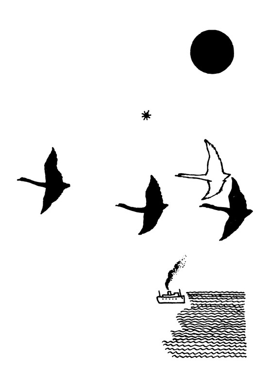 p0005