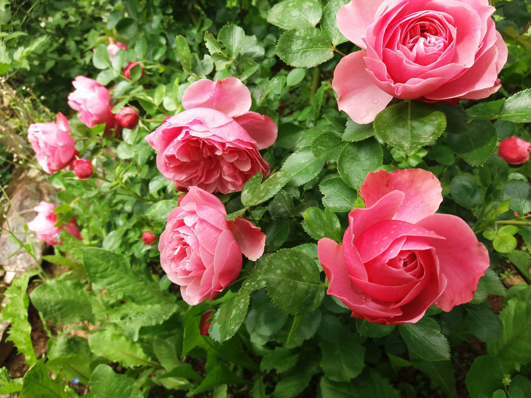 20200606_141738