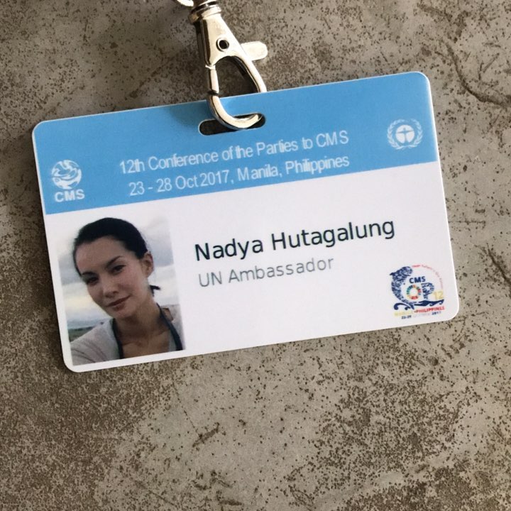 cdsc