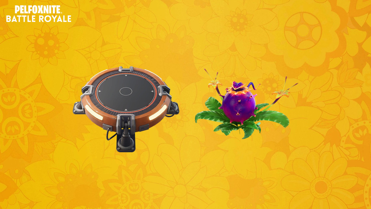 Image large sur desktop