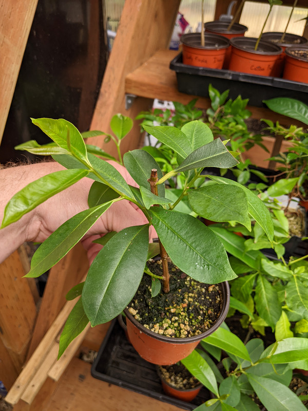 PXL_20230724_190409203