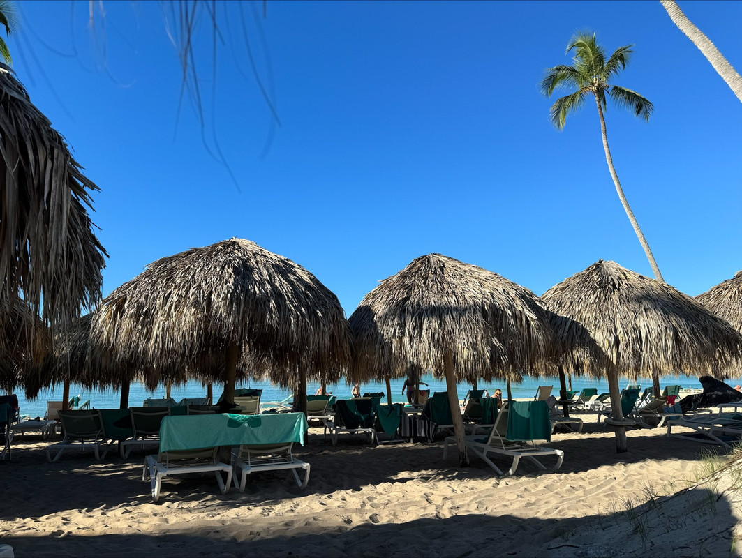 9A2B20E5-C788-46ED-8CF2-8835F8FC6585