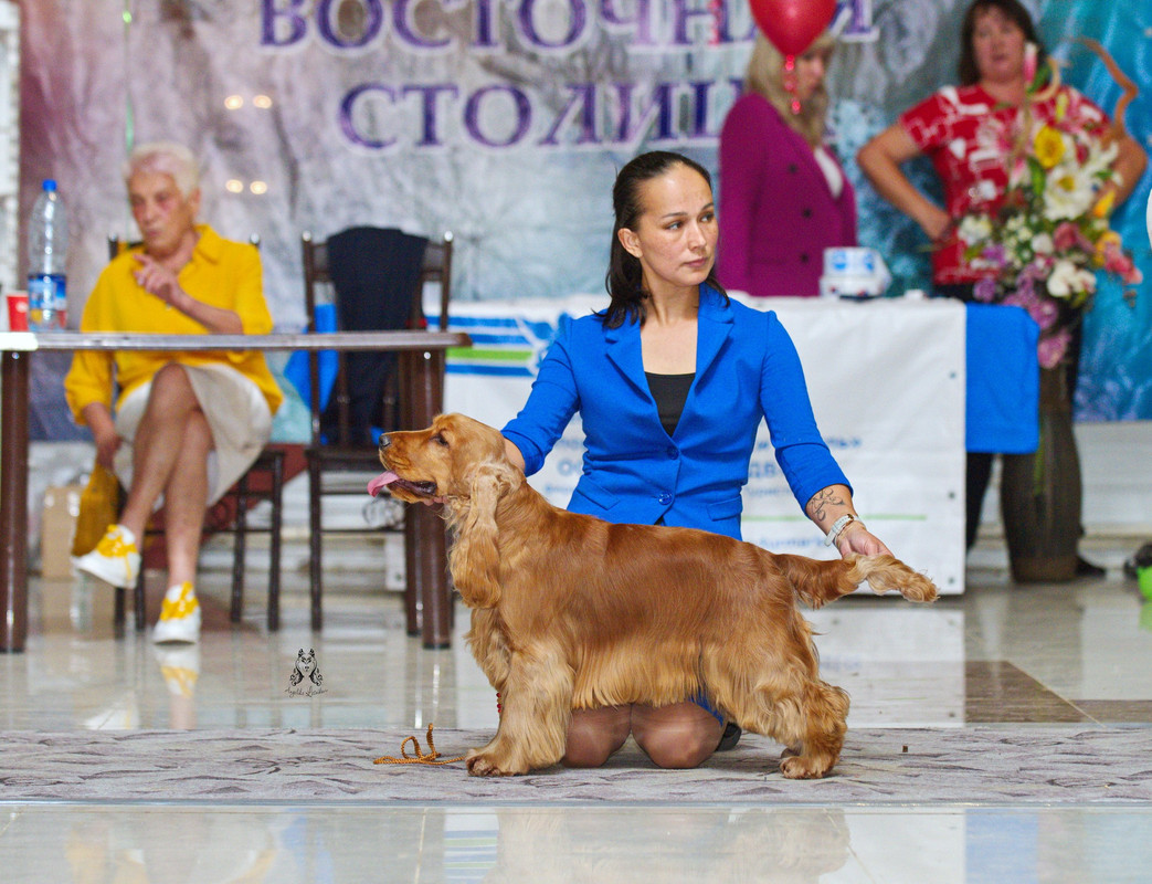 DSC 9132 — Postimages