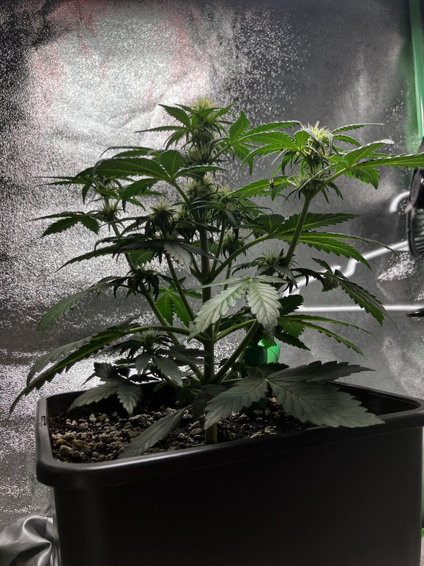 10741712-C760-46E6-8E2C-E01EAFBAA148