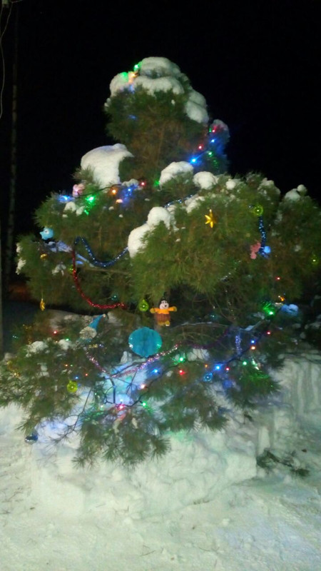 0-02-05-c1bf14ebe87ff364511794a84655ace7c0e2aba4