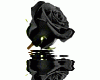 [Image: RoseBLK.gif]