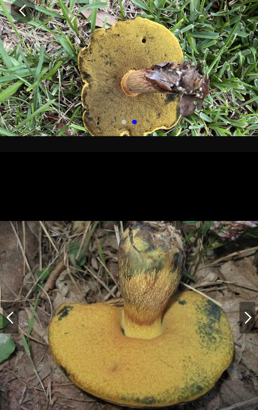 8049B25B-A9E8-472C-8E50-D1184FBE0974