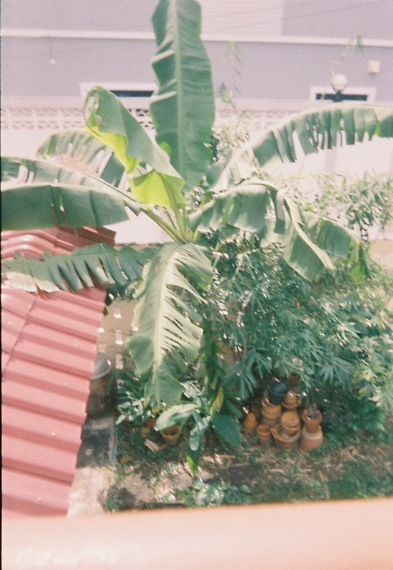 Vision3-HF-34-R-resize