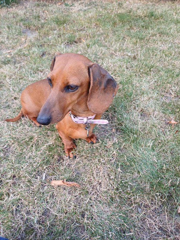 [Image: IMG-20240710-WA0002.jpg]