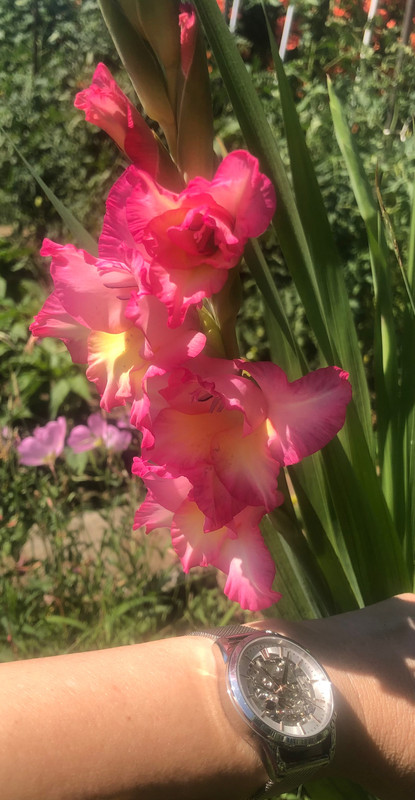 B19DD74D-A104-43CE-B794-6A76AF97409D