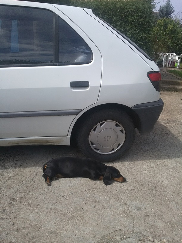 [Image: Tuture2.jpg]