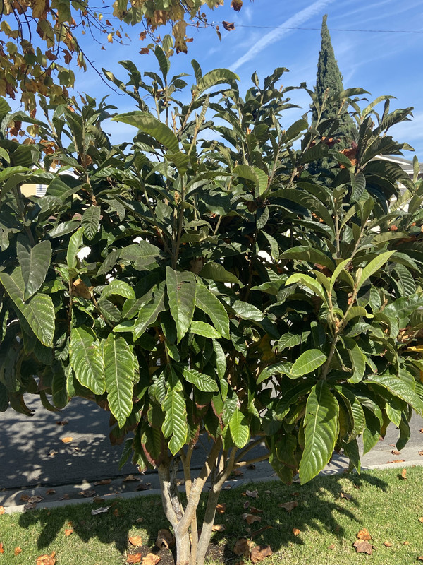 EC6FAA3F-00B1-4FFB-9A06-56E232555C4D