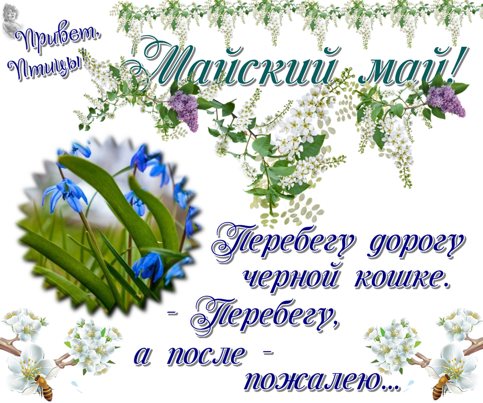 https://i.postimg.cc/dtq09Bxr/27-05.png
