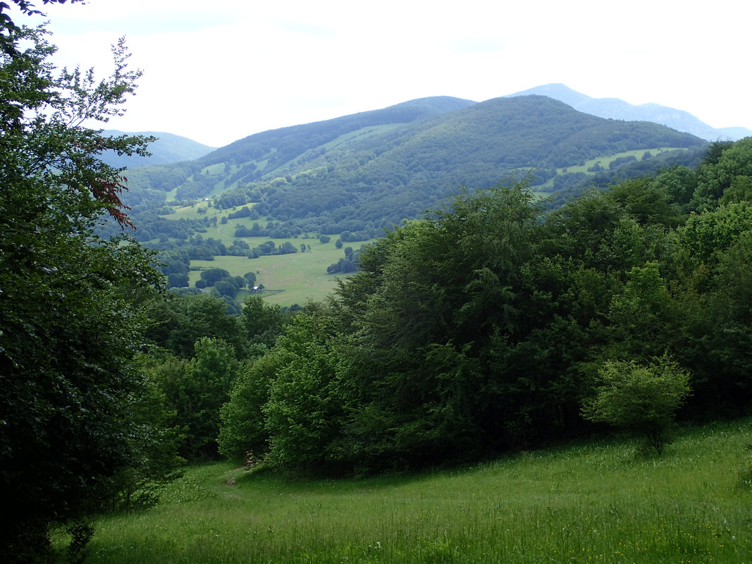 2019_0609G_STRAŻOWSKIE0078