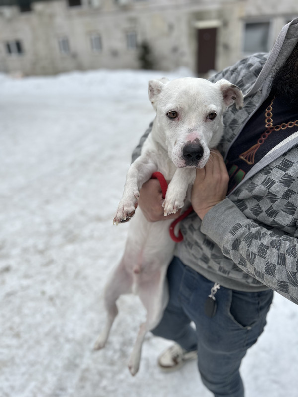 A6B95071-867B-4133-9AAF-980AC77D6A47