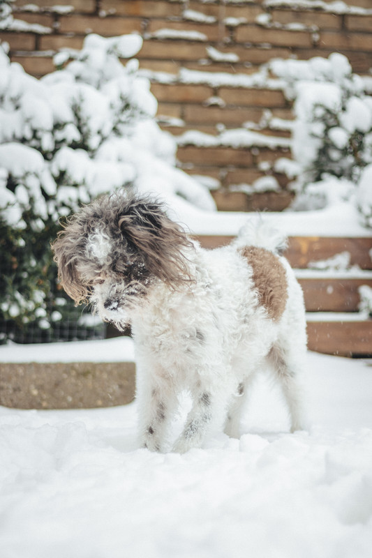 1C570A43-8565-459C-B545-EF80A809CF3E