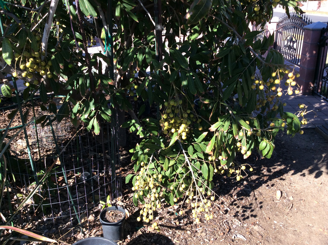 A5DA44C7-8ECF-4CC6-B7BD-FEAB6EBAF2FC