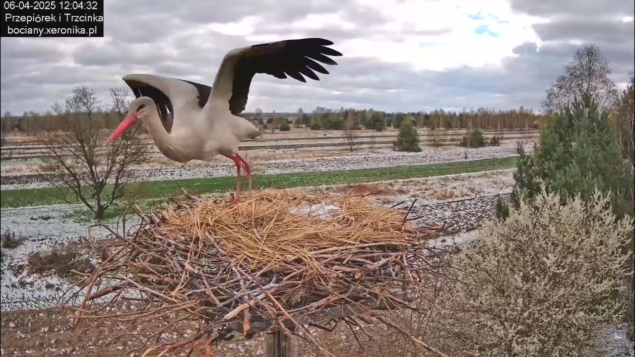 06042025minutazbocianem_22
