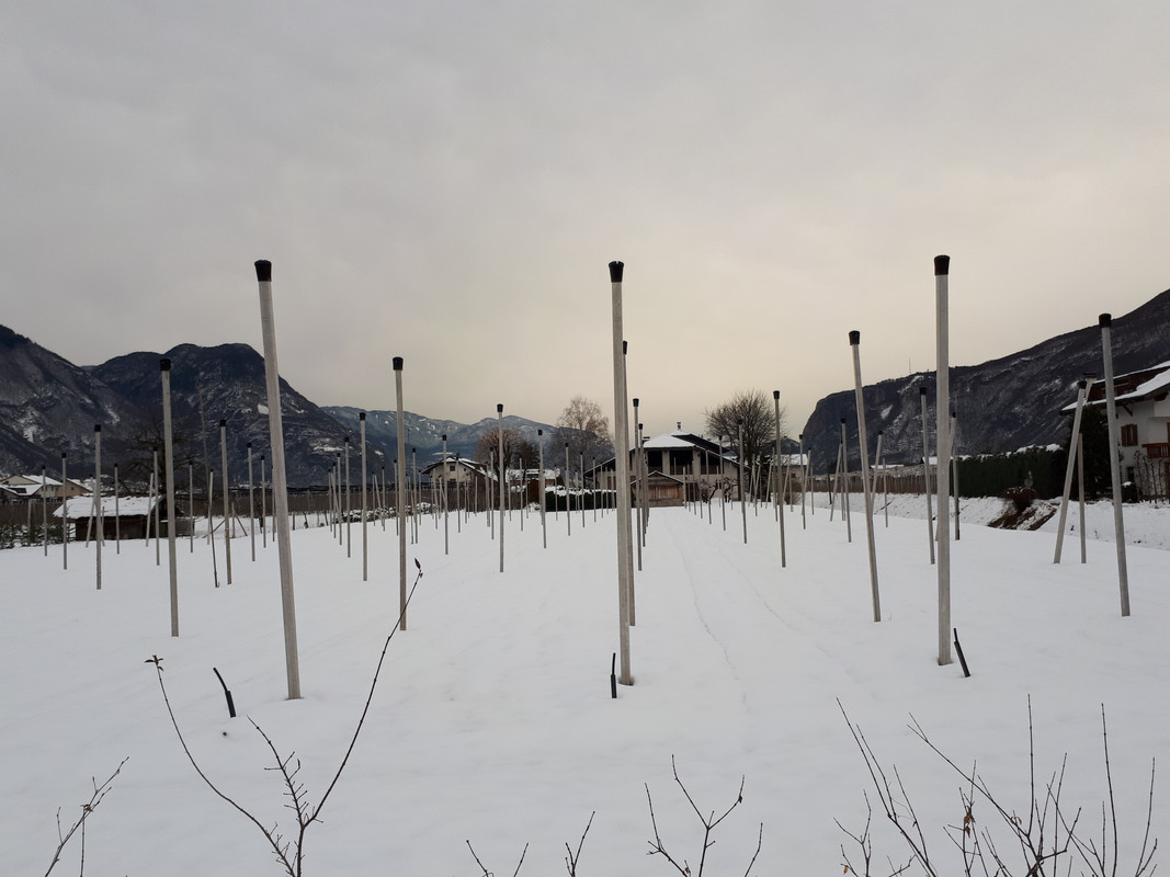 20190203_162047