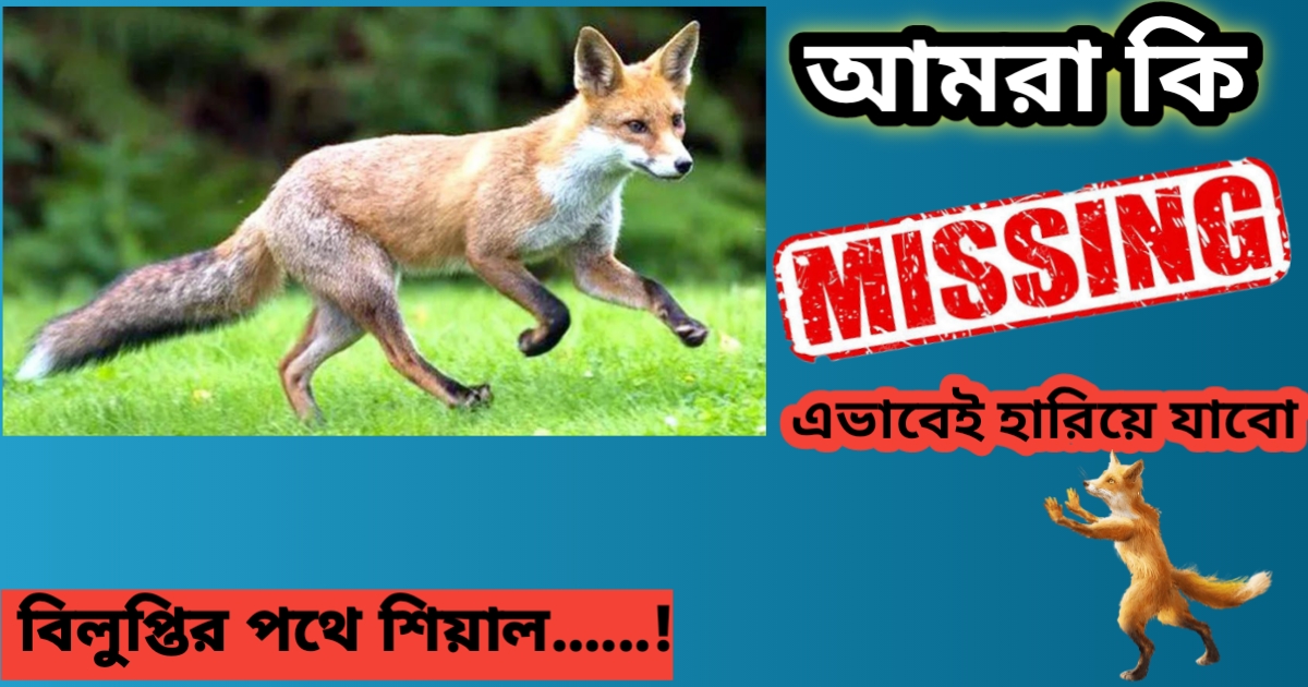 বাংলাদেশে শিয়াল সংরক্ষণ প্রচারণা - Vetdrbd