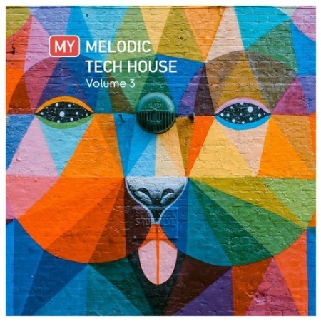 VA - My Melodic Tech House Vol. 3 (2020)