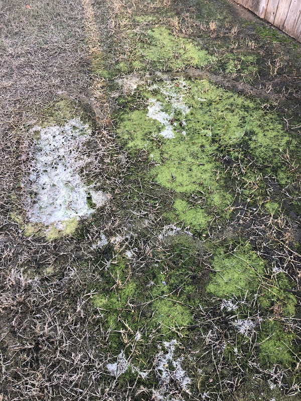 86141F88-41CB-4F13-852D-068EB9BB98AB