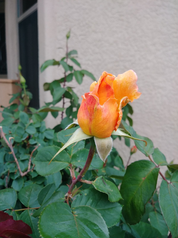 20180501_134253