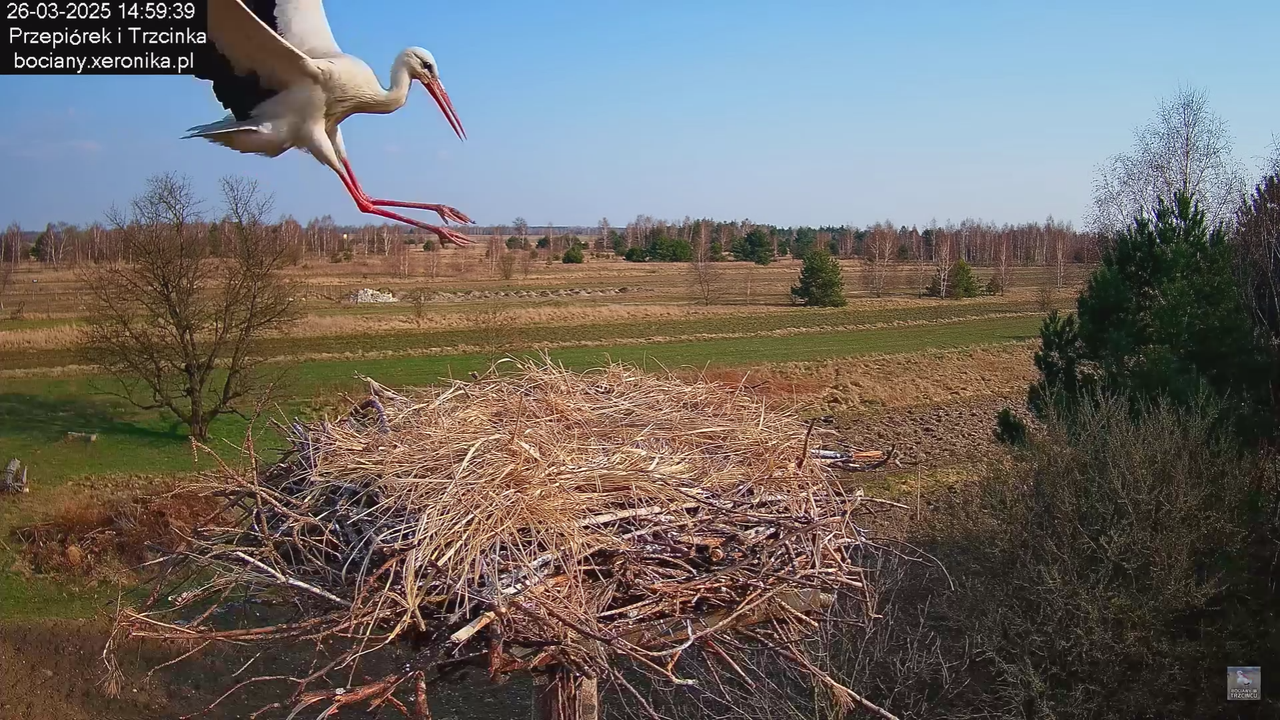 26032025Wpada bocius_2